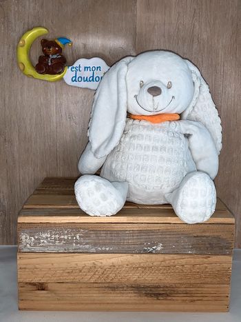 NIC401 doudou lapin 🐰 nicotoy