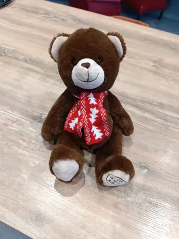 Ours en peluche