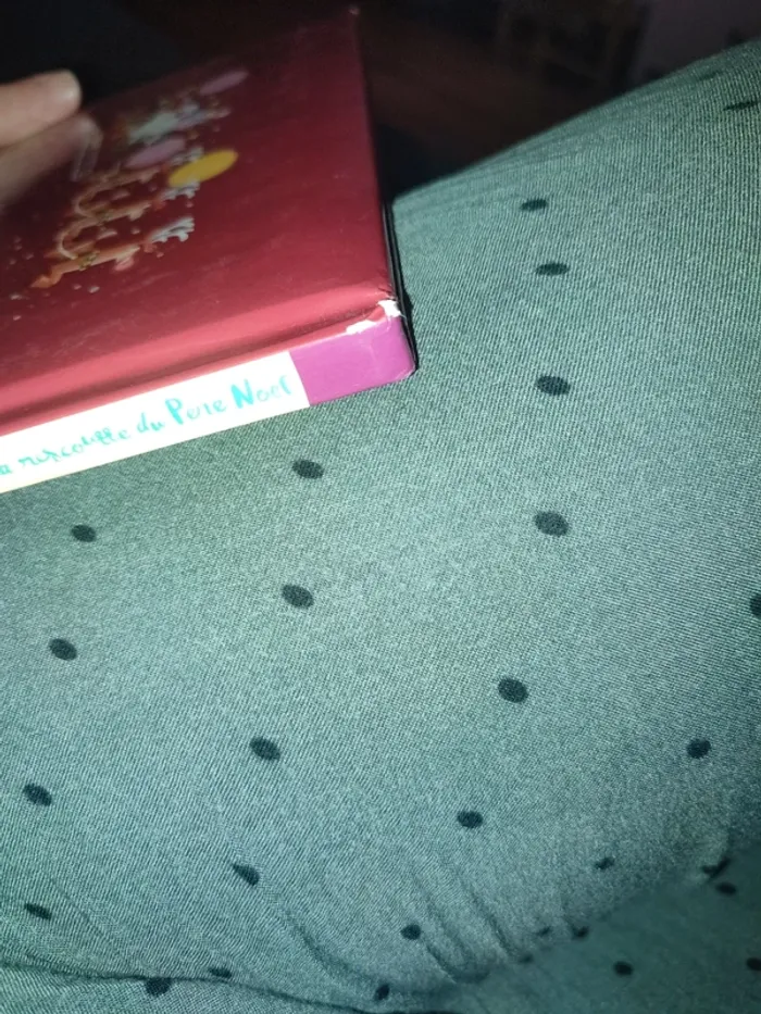 Livre la licorne a la rescousse du père noël - photo numéro 5