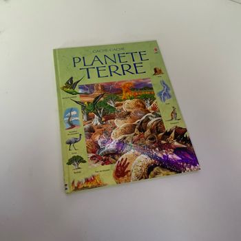 BD planète Terre