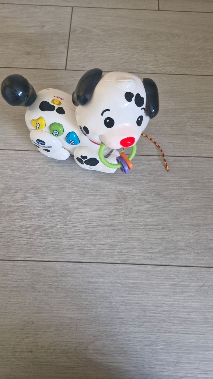 Dalmatien à tirer (sons et lumiere) - photo numéro 2
