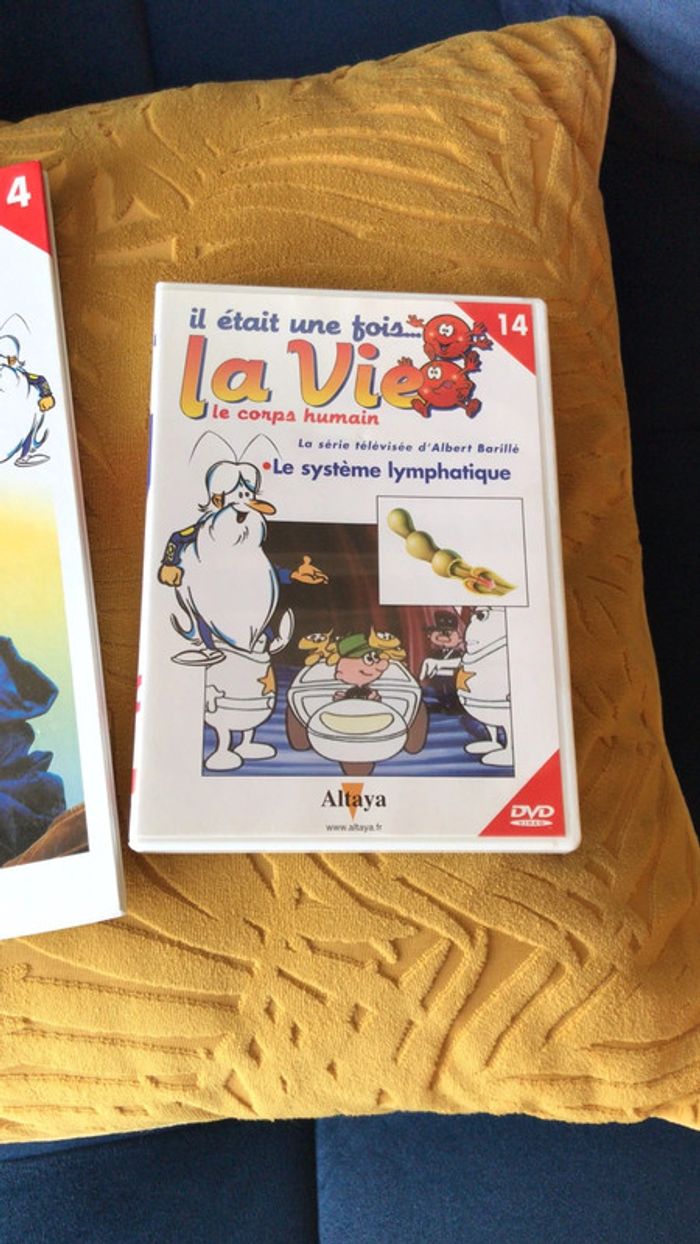 Collection il était une fois la vie le corps humain - photo numéro 3