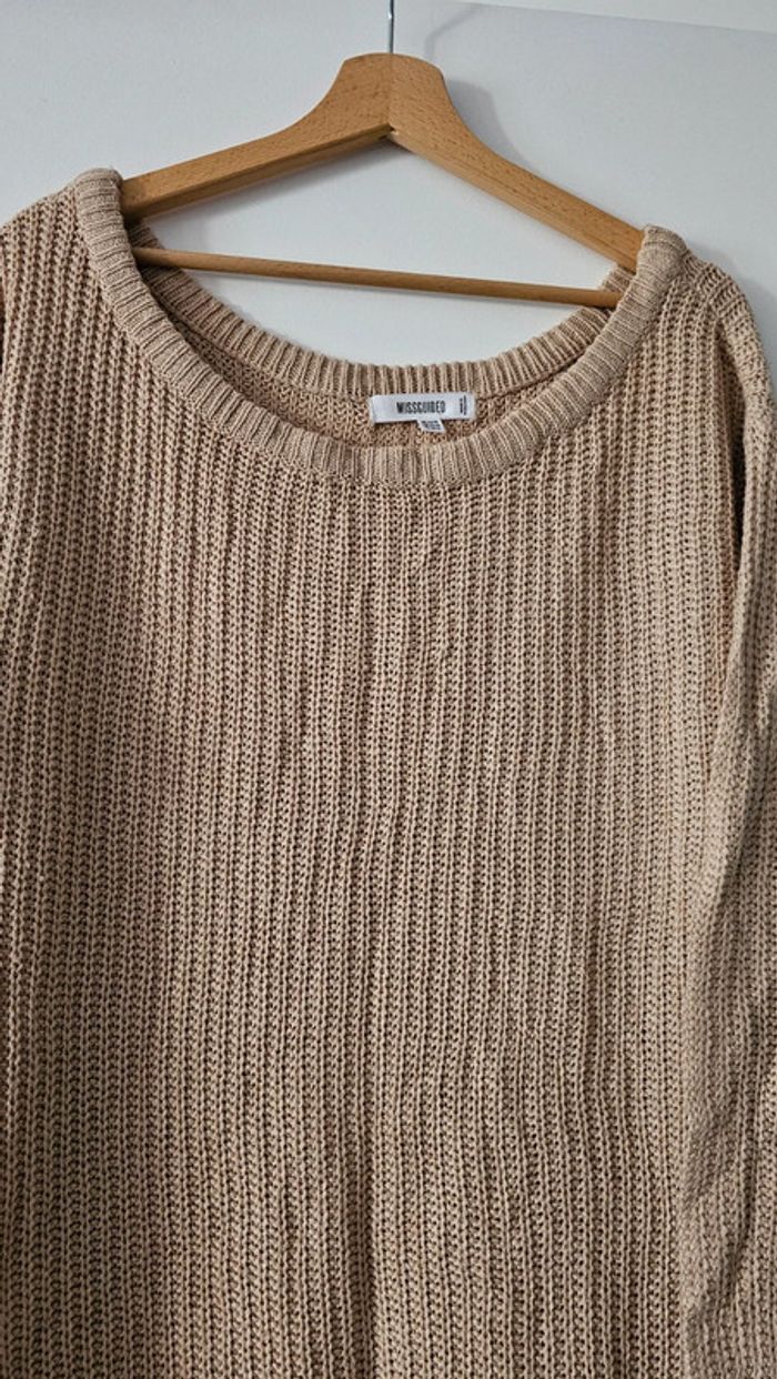 Robe d'hiver belge - photo numéro 2