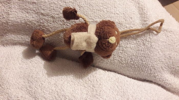 Peluche - photo numéro 2