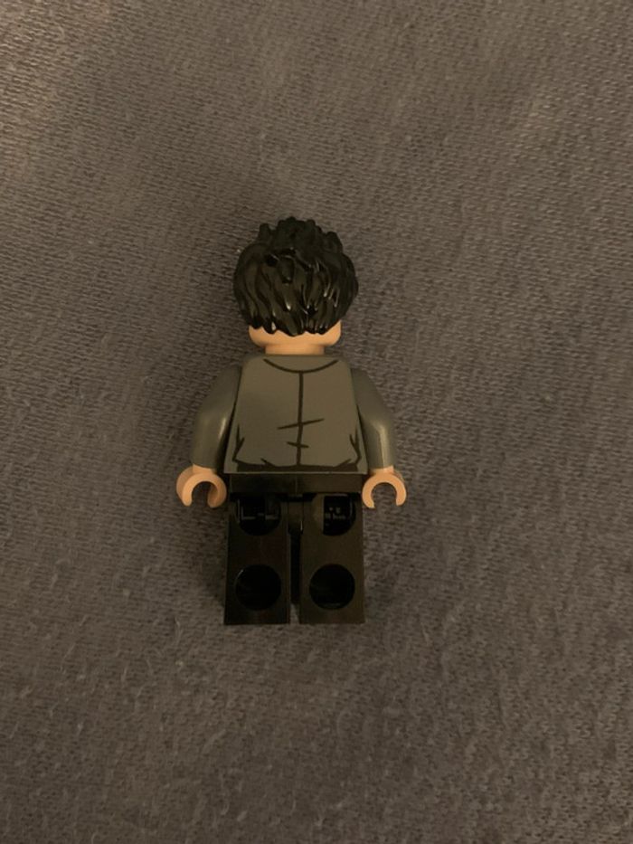 Lego Friends Series TV Ross Geller ftv001 Set The friends apartment 10292 - photo numéro 2