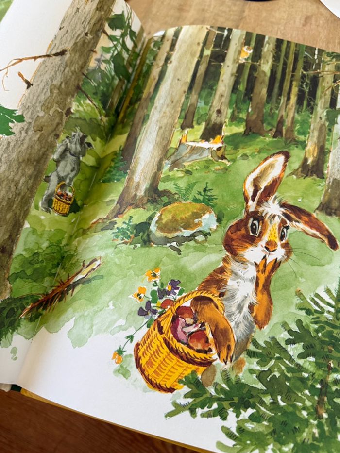 Grand livre album vintage Tim et Poum dans la forêt Pierre Probst auteur Caroline - photo numéro 7