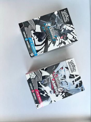 Bundle Pokémon foudre et flamme ev10.5