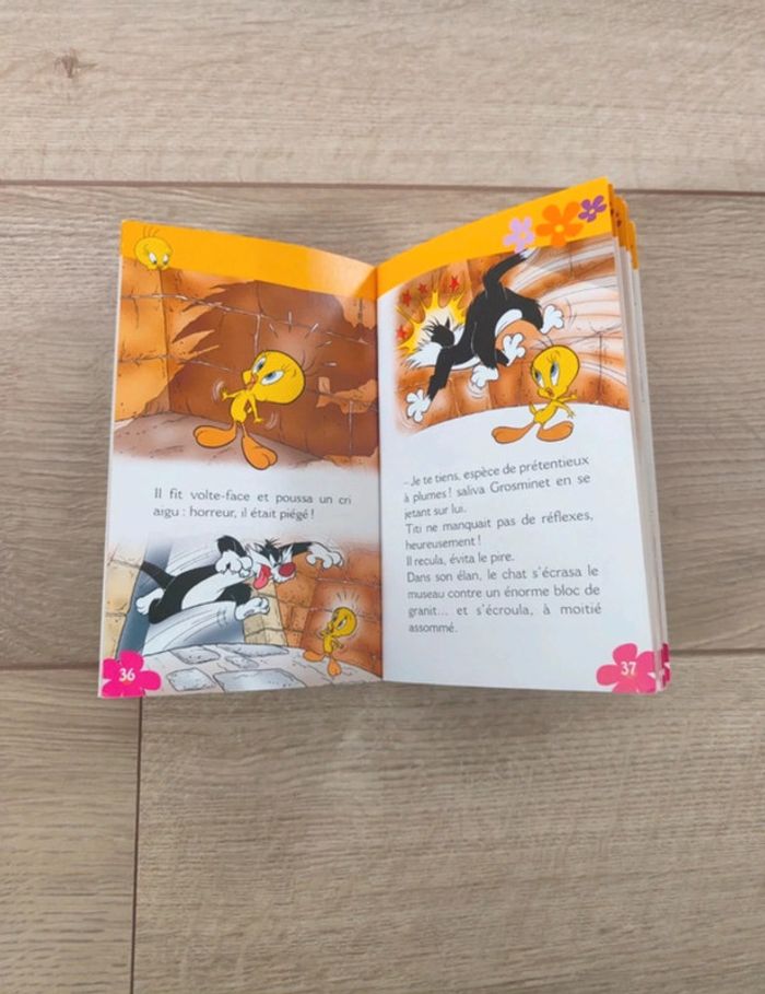 Livre (titi) - photo numéro 3