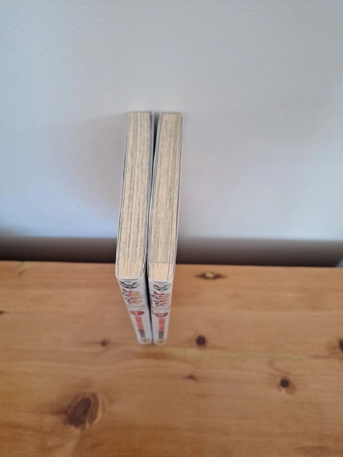 Manga Mär omega 2 tomes - photo numéro 3