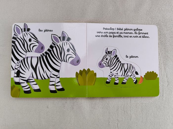 Livre Kididoc Les bébés de la savane Nathan - photo numéro 6