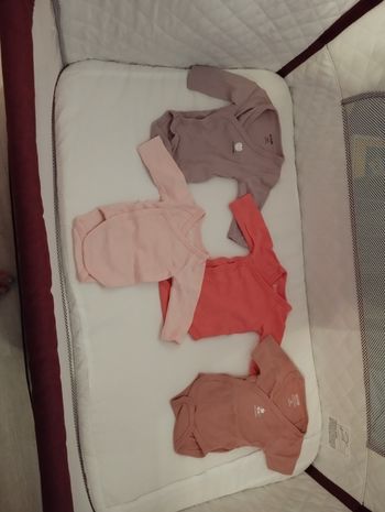 Bodies bebe