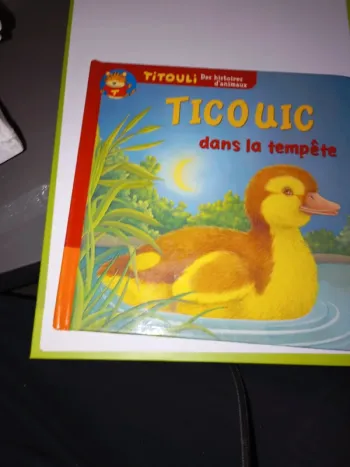 Titouic dans la tempête