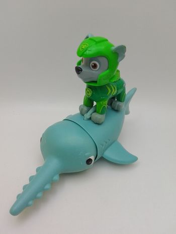 Rocky aqua pups 