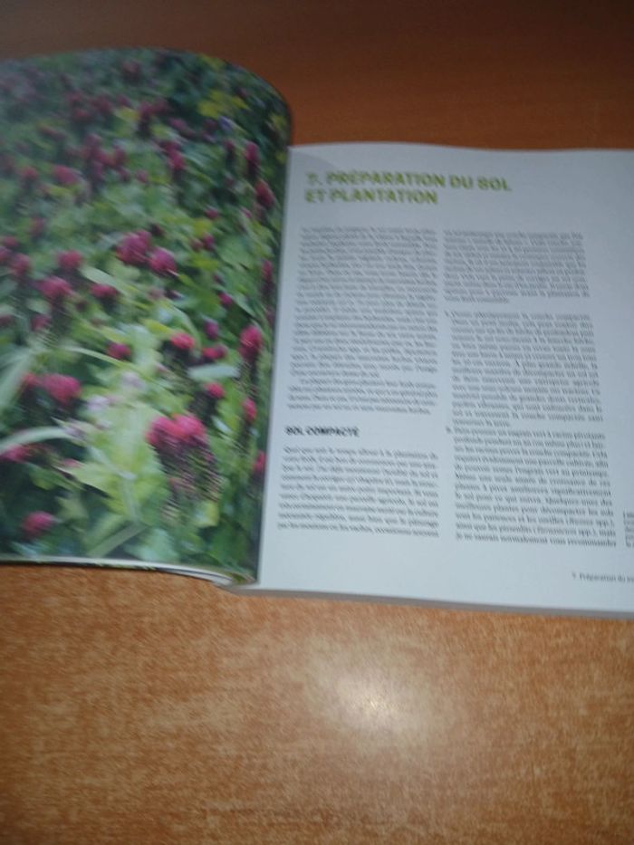 La forêt jardin - photo numéro 8