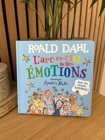 Livre émotions enfants