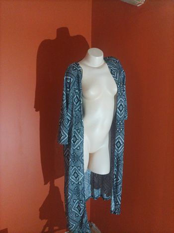 Veste longue