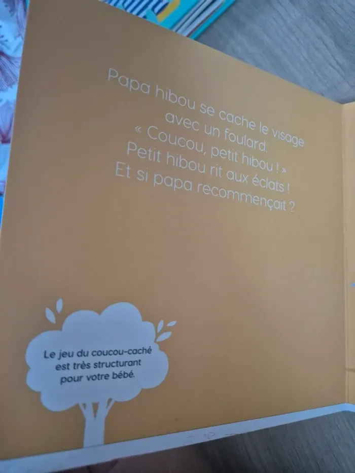 Livre bébé On joue petit hibou - photo numéro 2