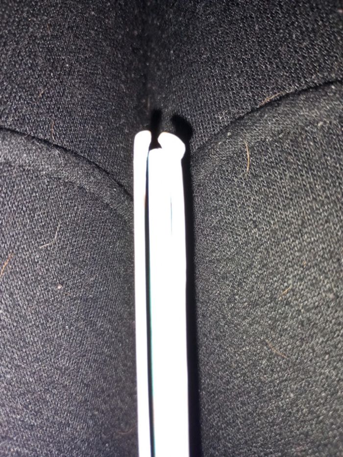 Le monde de dory - photo numéro 4