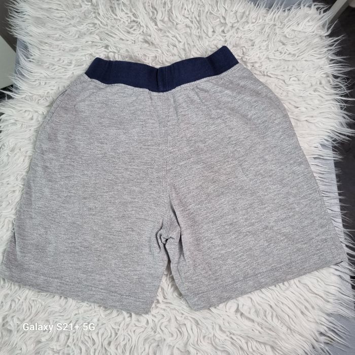 Chort gris - photo numéro 3