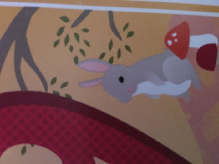 Cartes étape - photo numéro 2