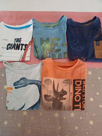 Lot de 5 tee shirt dinausores