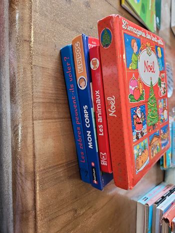 Lot de 4 livres enfant :