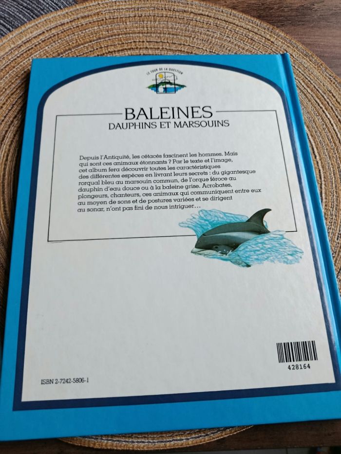 Oiseaux et baleines - photo numéro 5