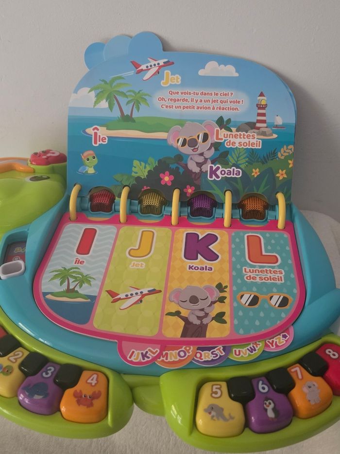 Thaïs la tortue exploratrice. - photo numéro 5