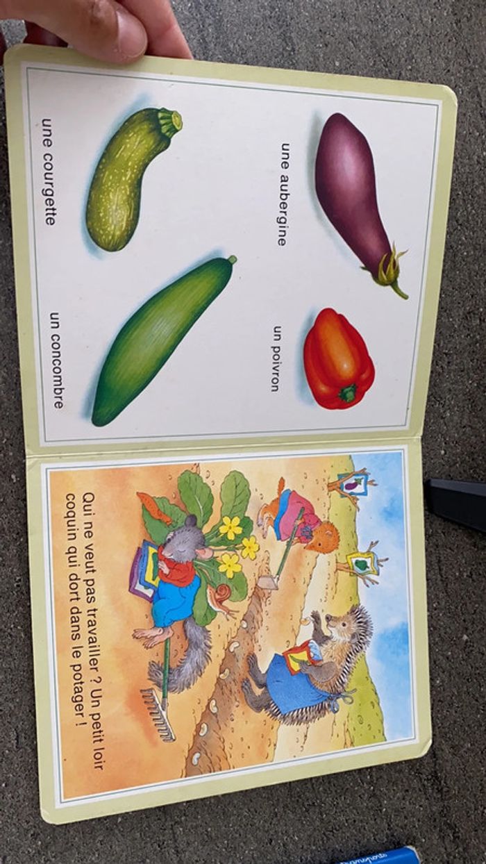 Lot de 2 livres imagiers - photo numéro 3