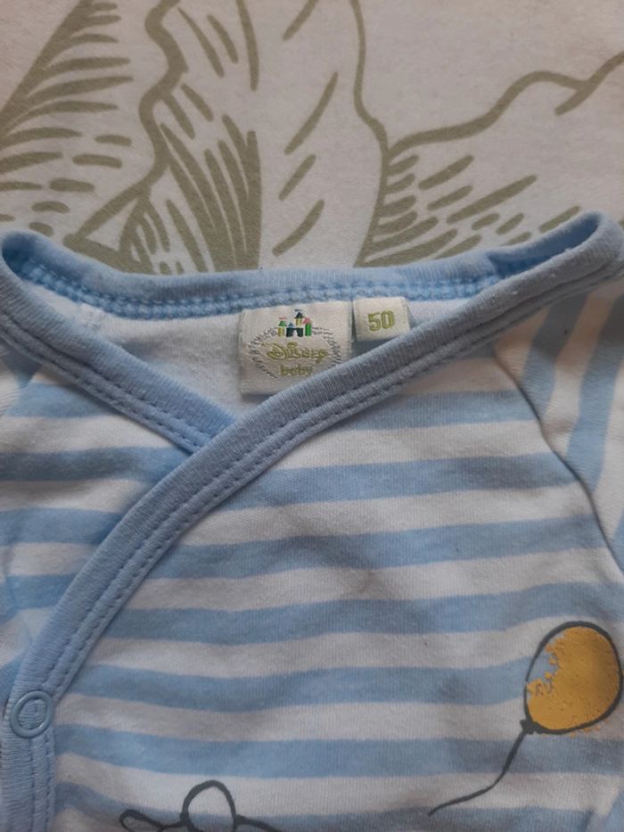 Bodie Winnie l'ourson naissance - photo numéro 2