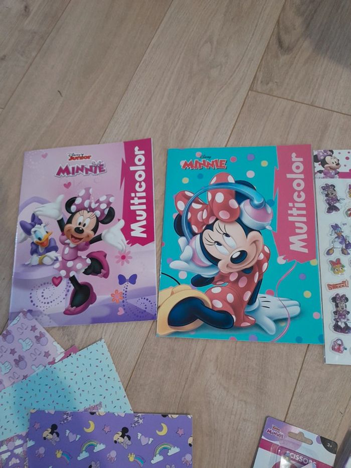 Gros lot loisirs créatifs Minnie - photo numéro 7