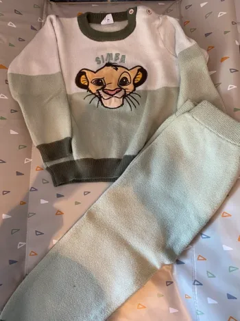 Ensemble roi lion