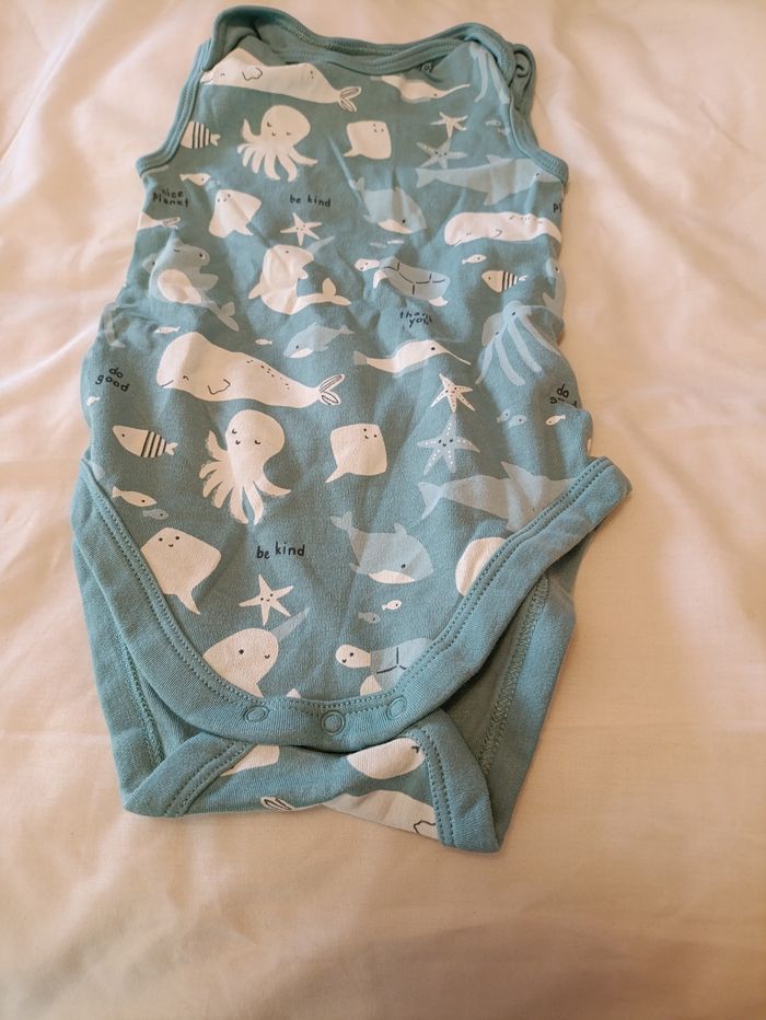 Body manches courte 18 mois - photo numéro 2