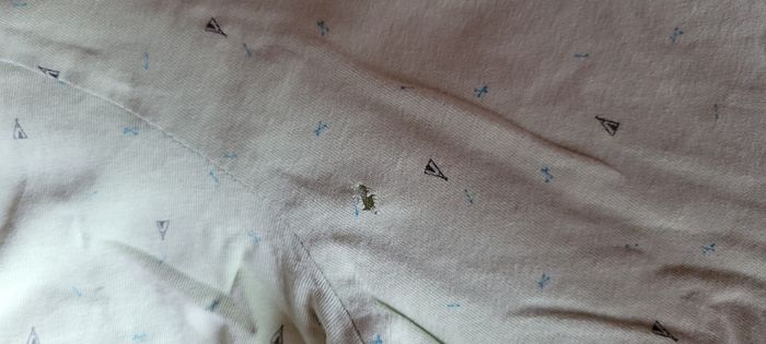 Tee-shirt - photo numéro 5