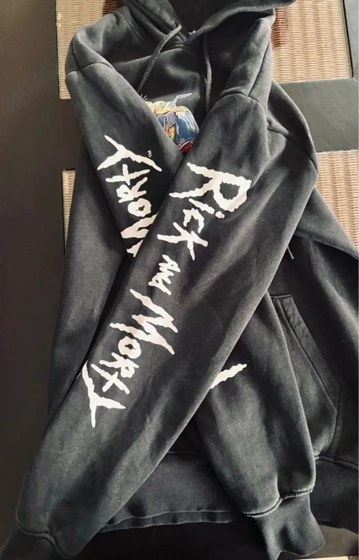 Sweat Rick et morty - photo numéro 3