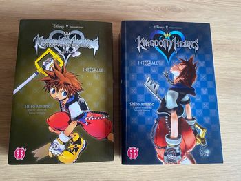 Lot de 2 livres manga