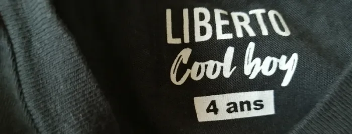 Lot de 3 t-shirts garçon taille 4 ans - photo numéro 4