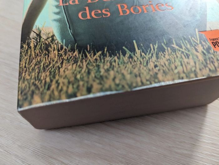 La demoiselle des Bories - Marie Bernadette Dupuy - photo numéro 4