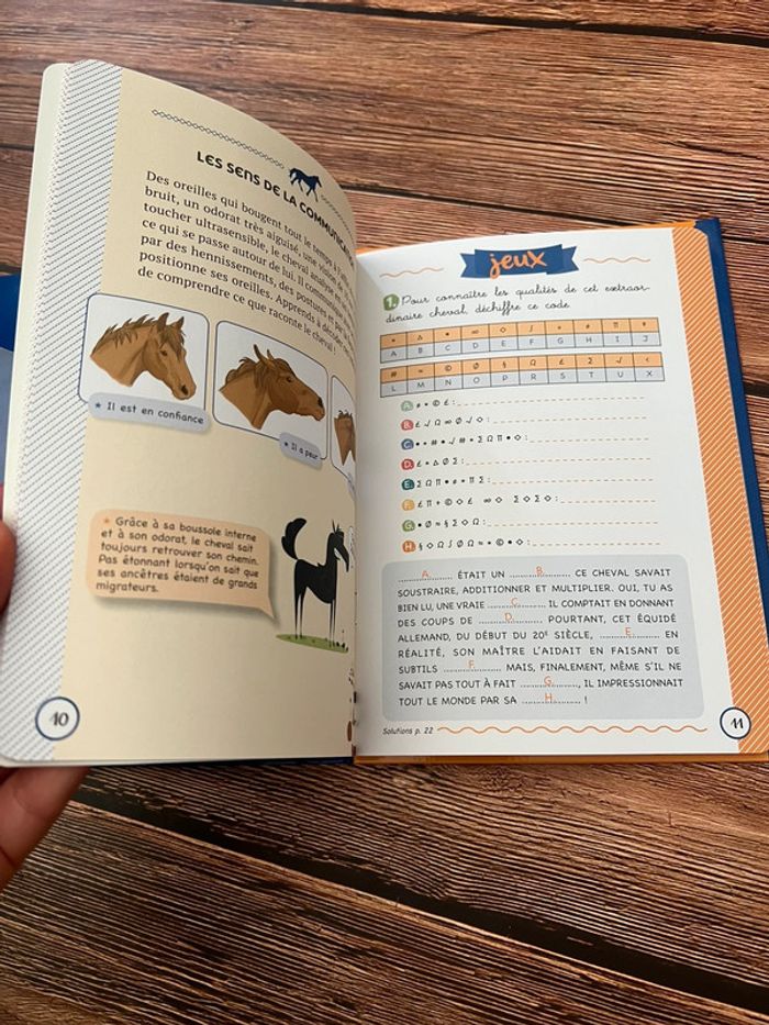 Chevaux fleurus - photo numéro 6