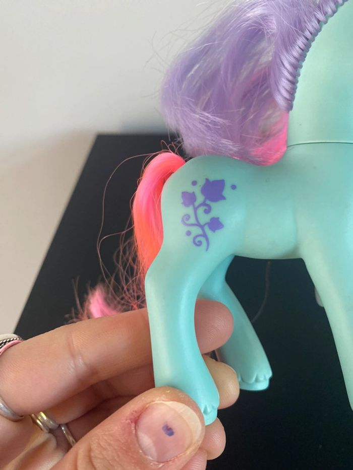 Pony ivy - photo numéro 6