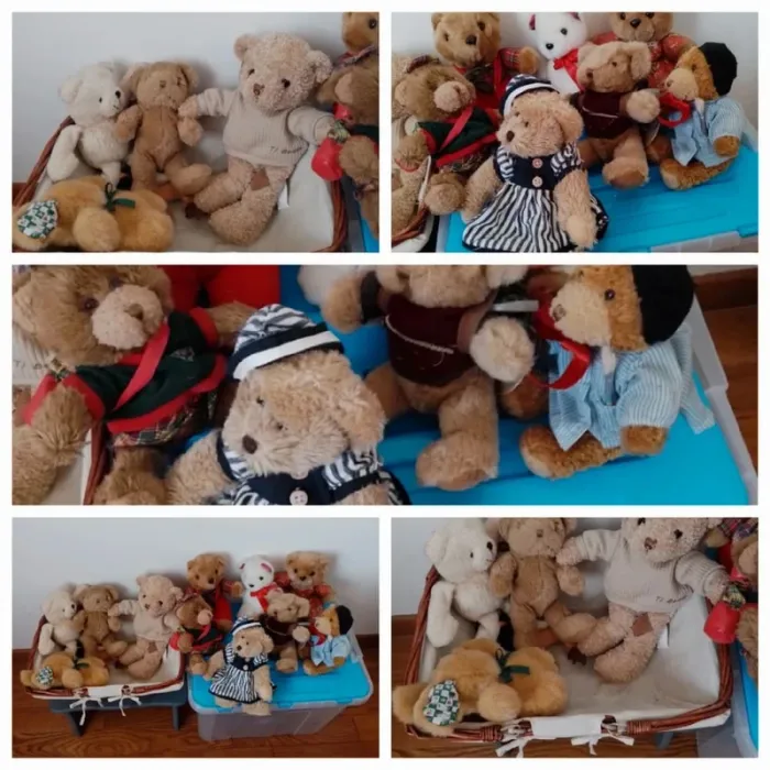La famille Ours au grand complet. Qui l'adoptera pour la vie ? - photo numéro 2