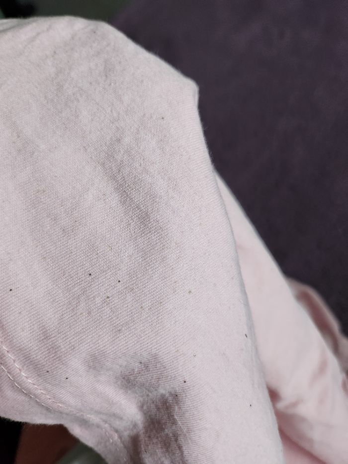 T-shirt - photo numéro 5