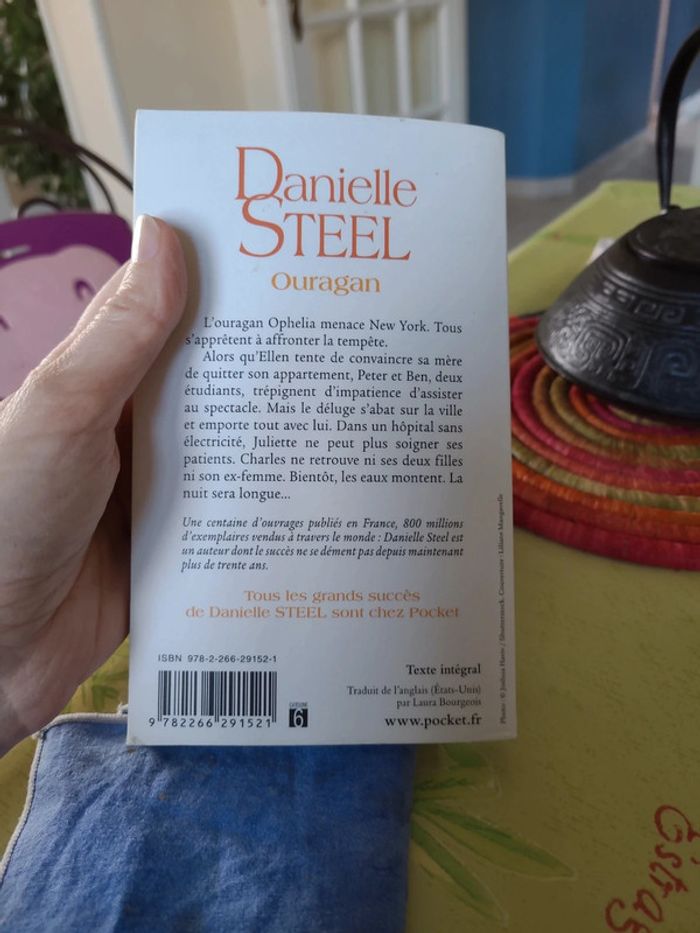 Danielle steel - ouragan - photo numéro 2