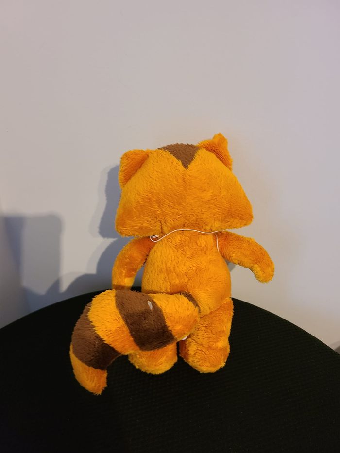 raton laveur - photo numéro 2