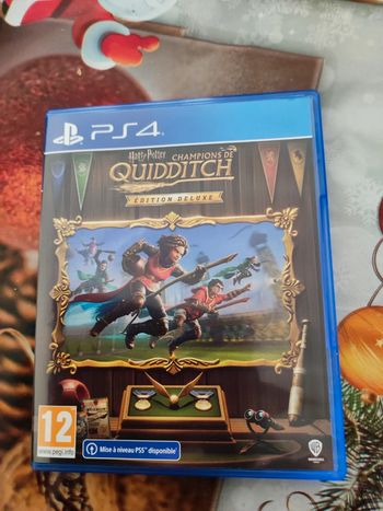 Jeu PS4 Harry Potter champions de Quidditch