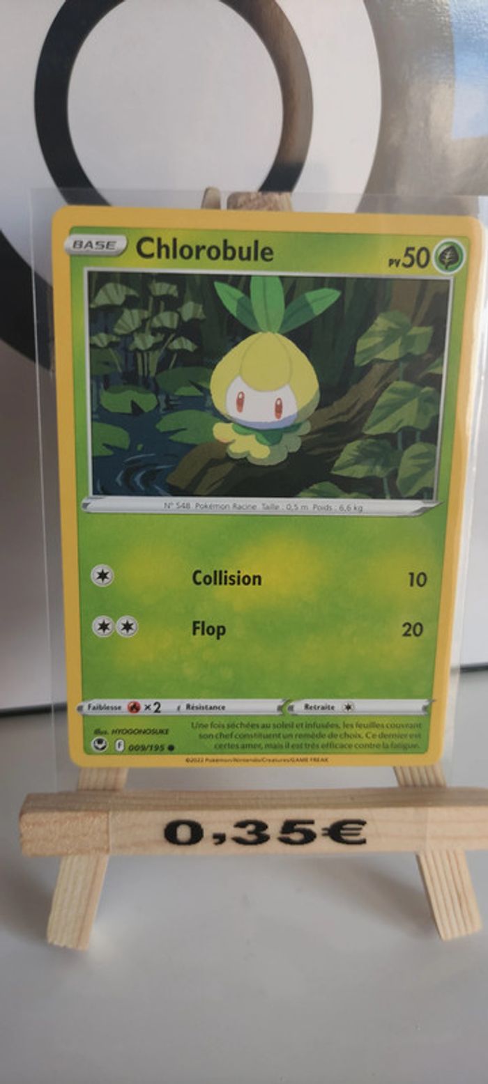 Chlorobule 9/195 tempête argentée