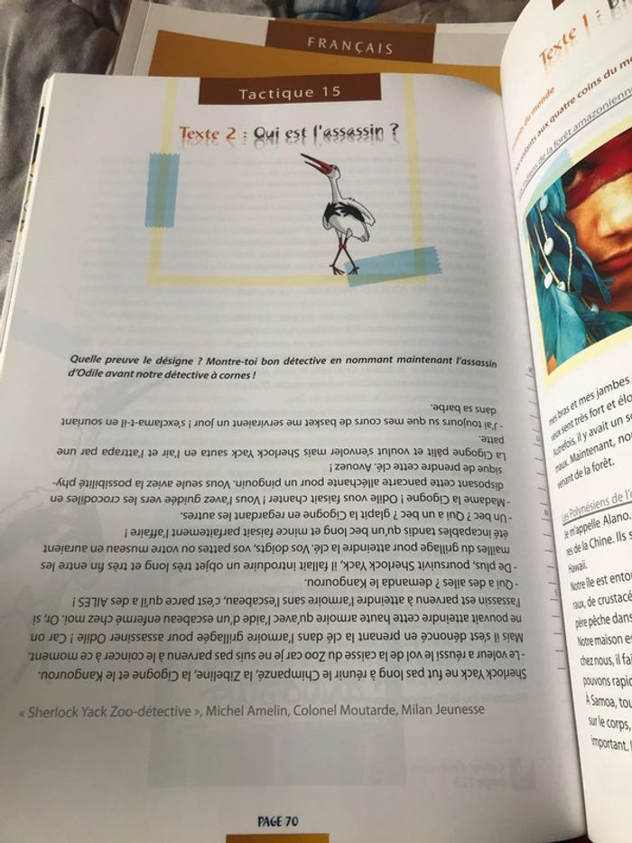 Tatou 3 français - photo numéro 5