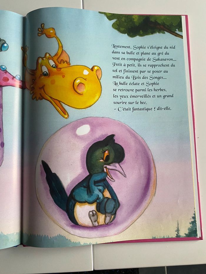 Livre Sakasavon - photo numéro 4