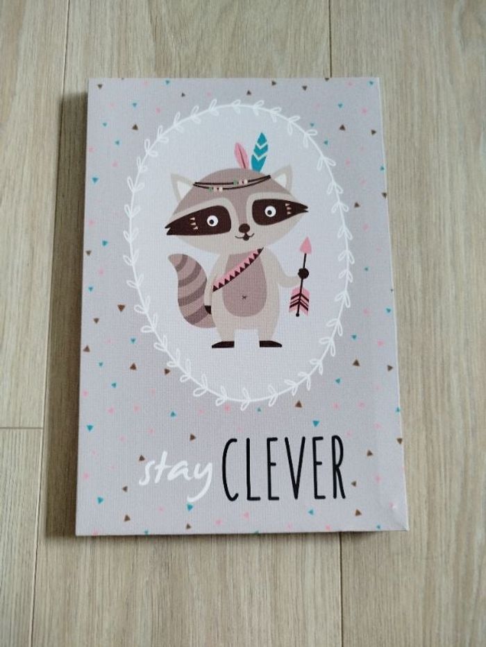 Cadre raton laveur indien