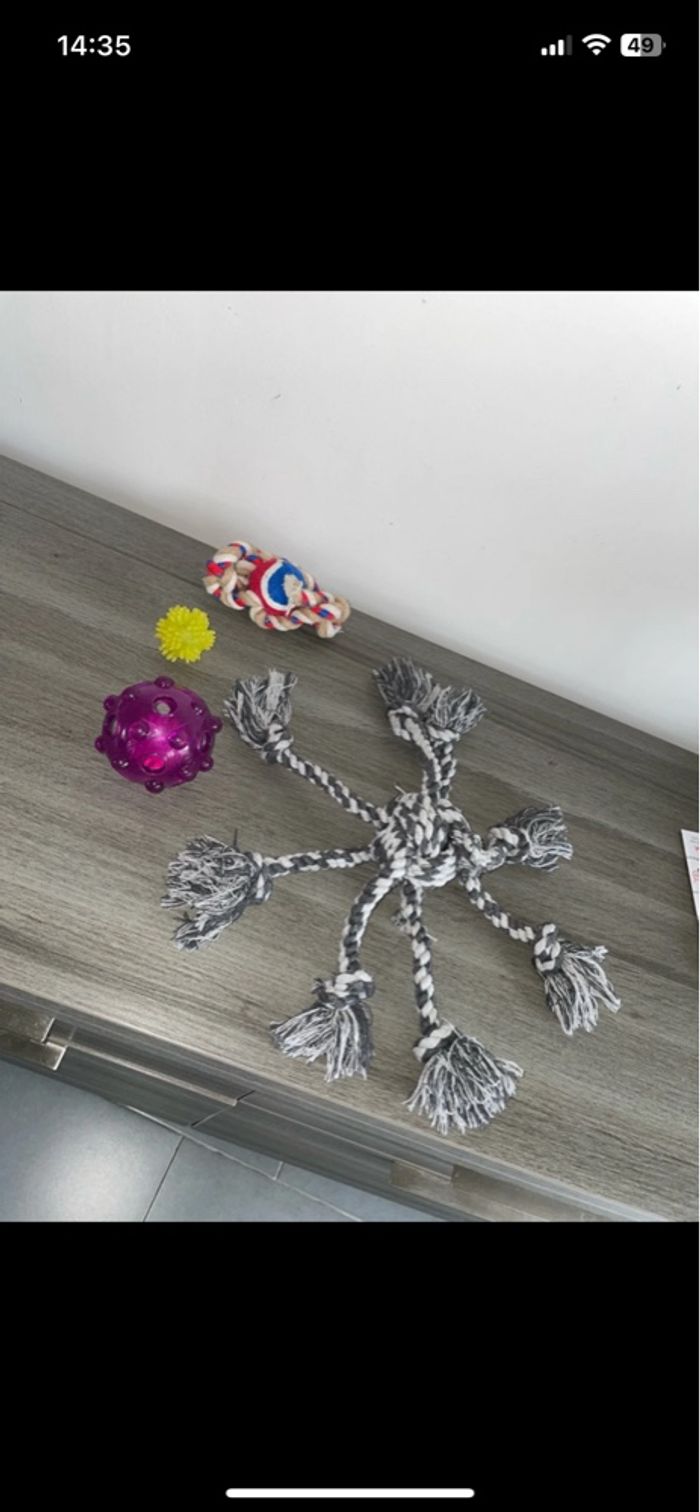 Lots jouets chien x4